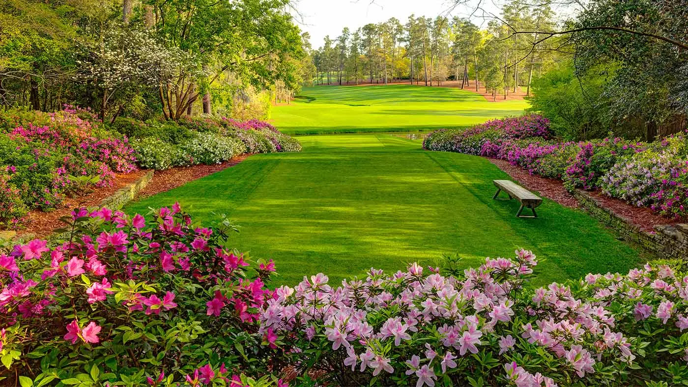 Tee box at Augusta National surrouned by Azaelias