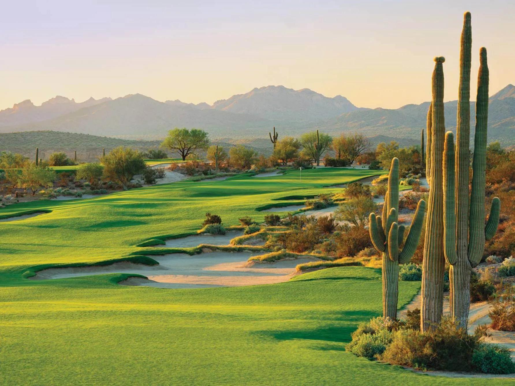 Sand bunkers and cactus on a well maintained fairway