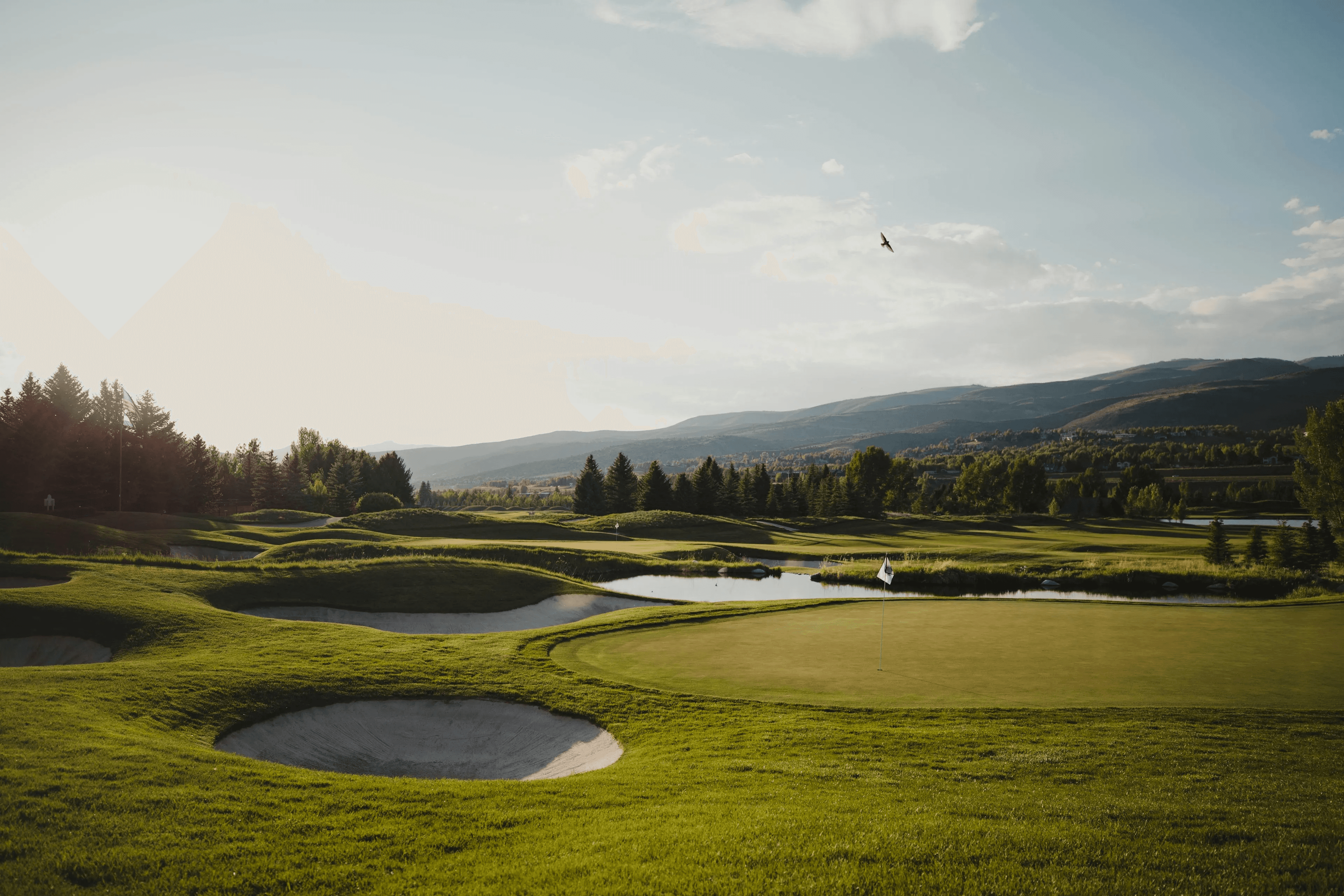 A well maintained green surrounded by sand bunker next to a water hazard