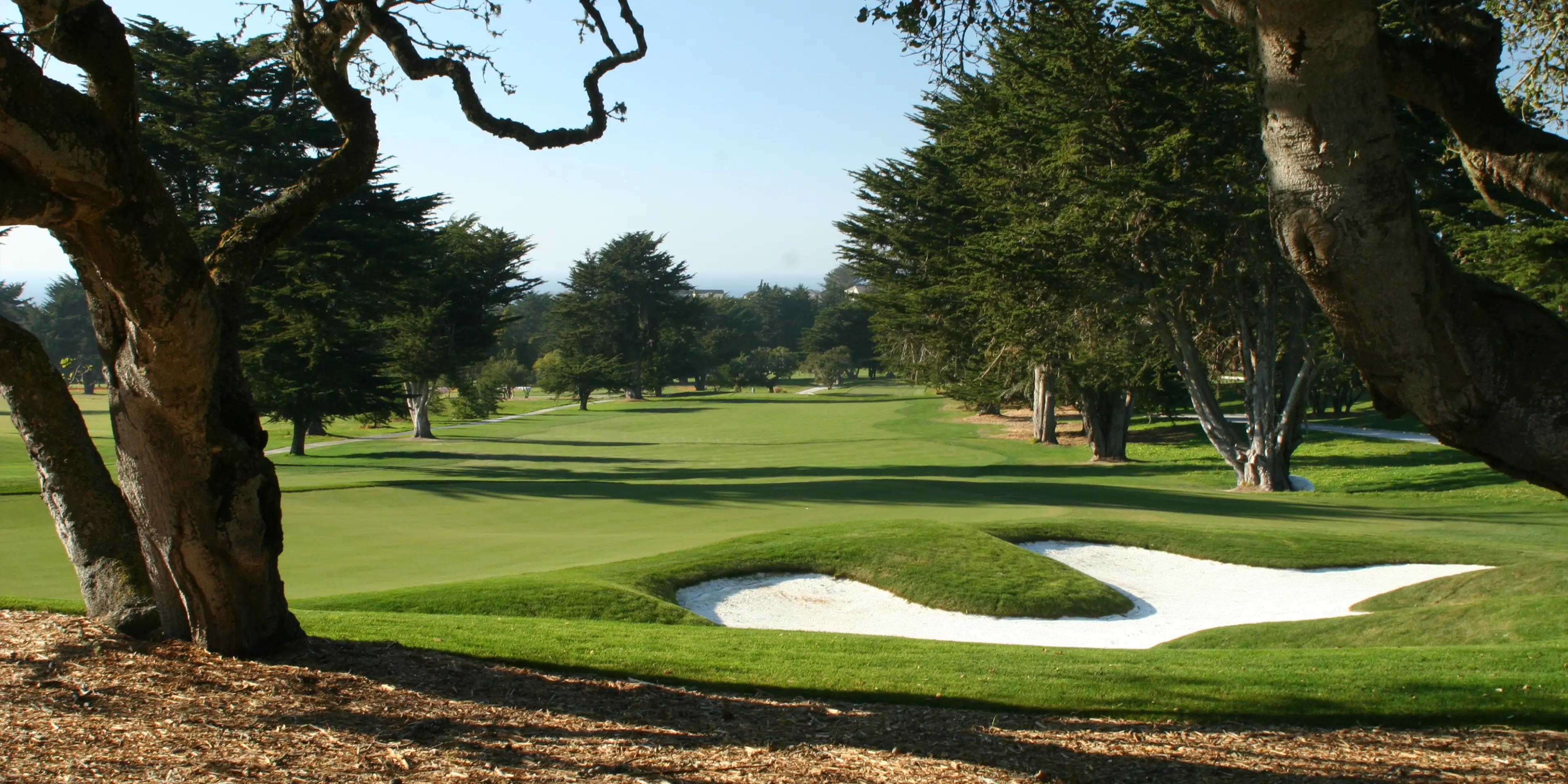 View of a wide fairway taken from between the trees on the rough