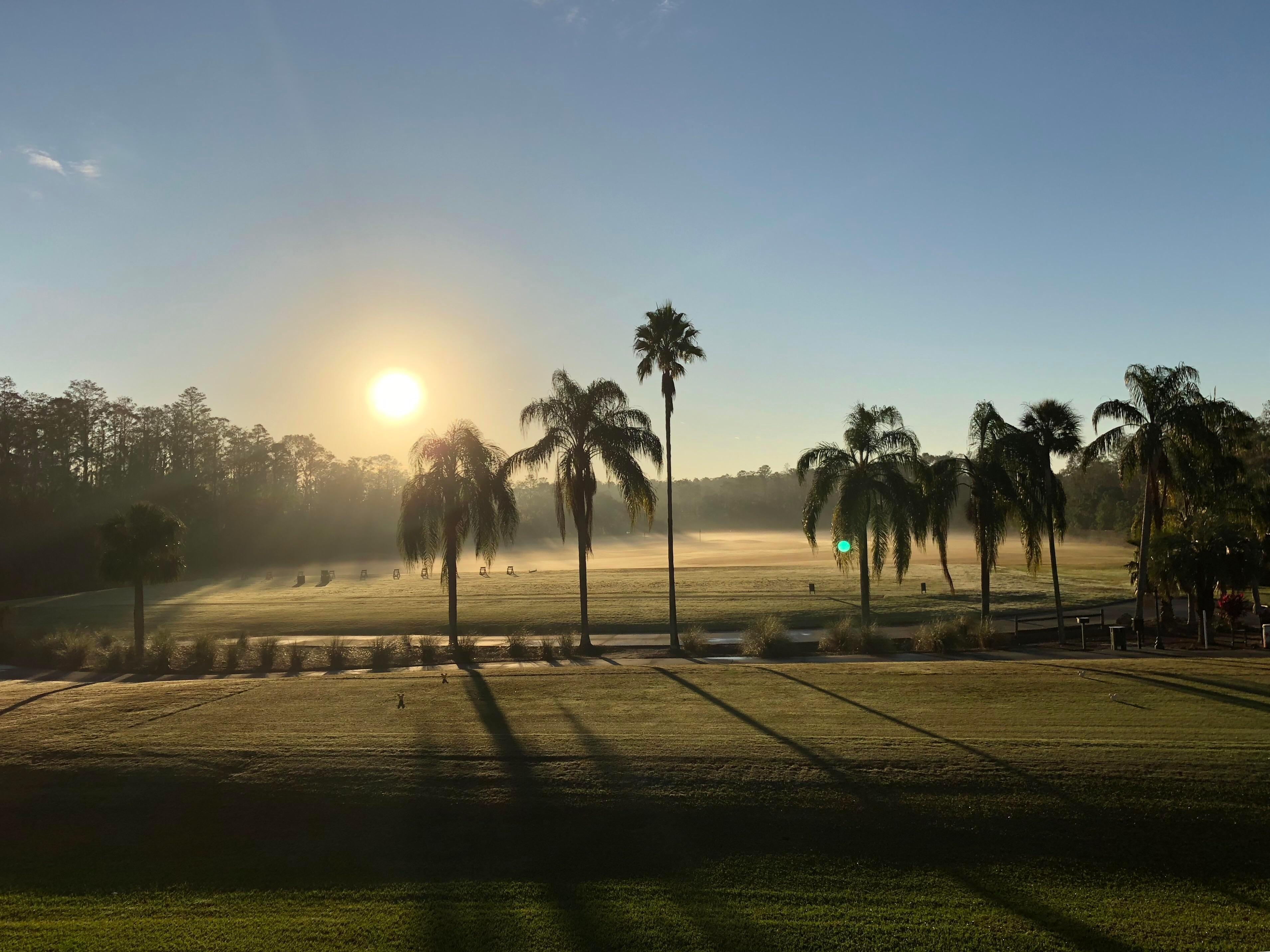 Panoramic view of the sun shining onto the course with palm trees
