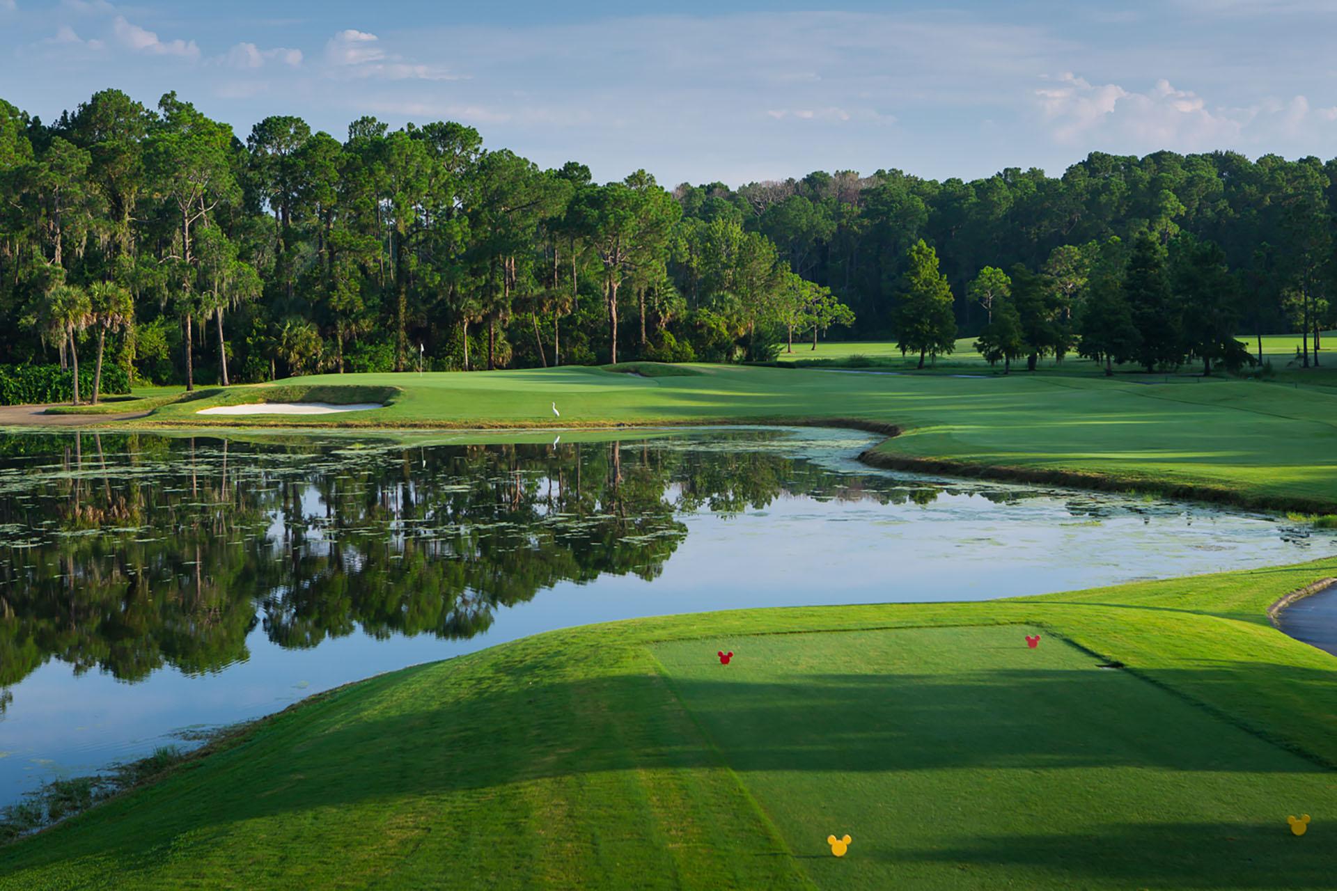 Disney logo in the ground marking the tee off point just before a water hazard with forest like tree's in the back