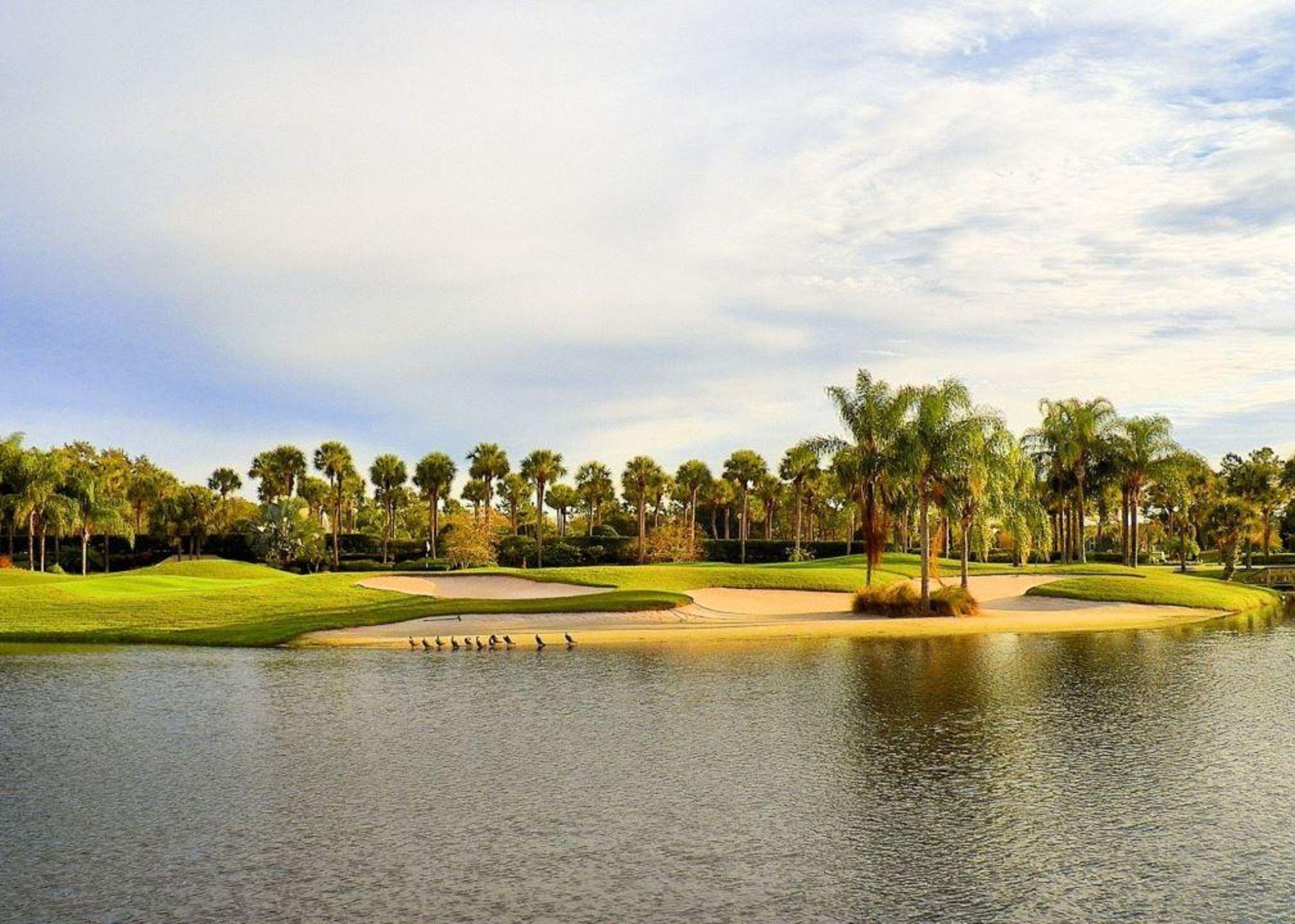 Massive sand bunker placed next to a river that leads through the course surrounded by palm trees