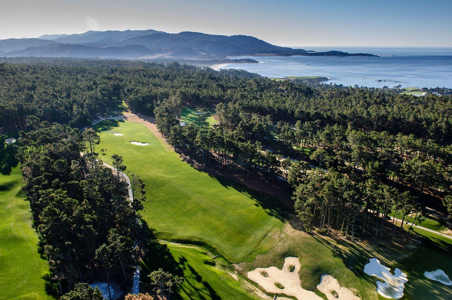 A well maintained fairway nestled with sand bunkers surrounded by towering trees