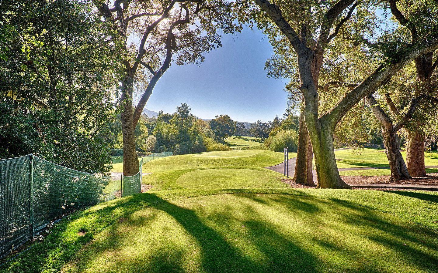A fairway leading between a treeline