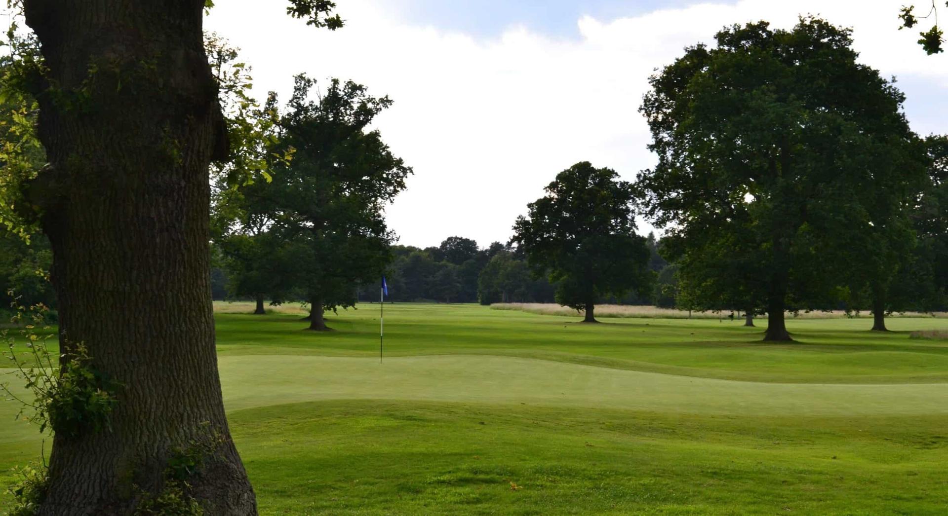 Well-maintained green nestled with multiple trees