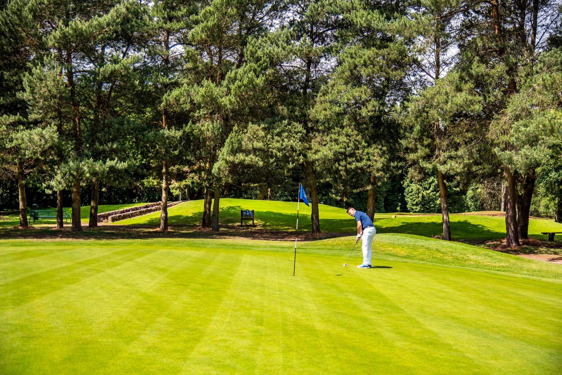 A golfer putting on a green surrounded by tall trees under a bright sky.