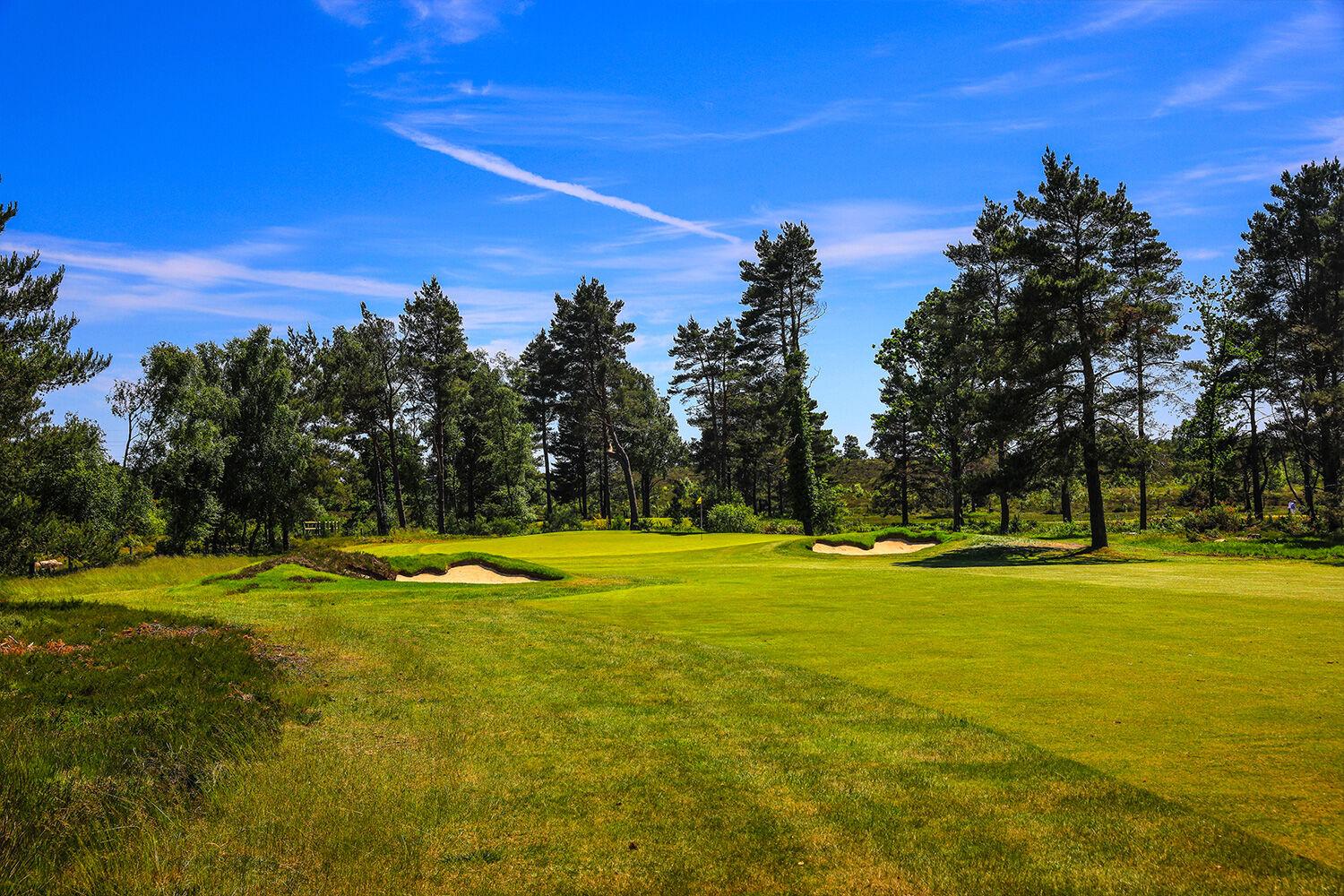 Uniquely shaped bunkers placed around the green at the Ferndown Golf club