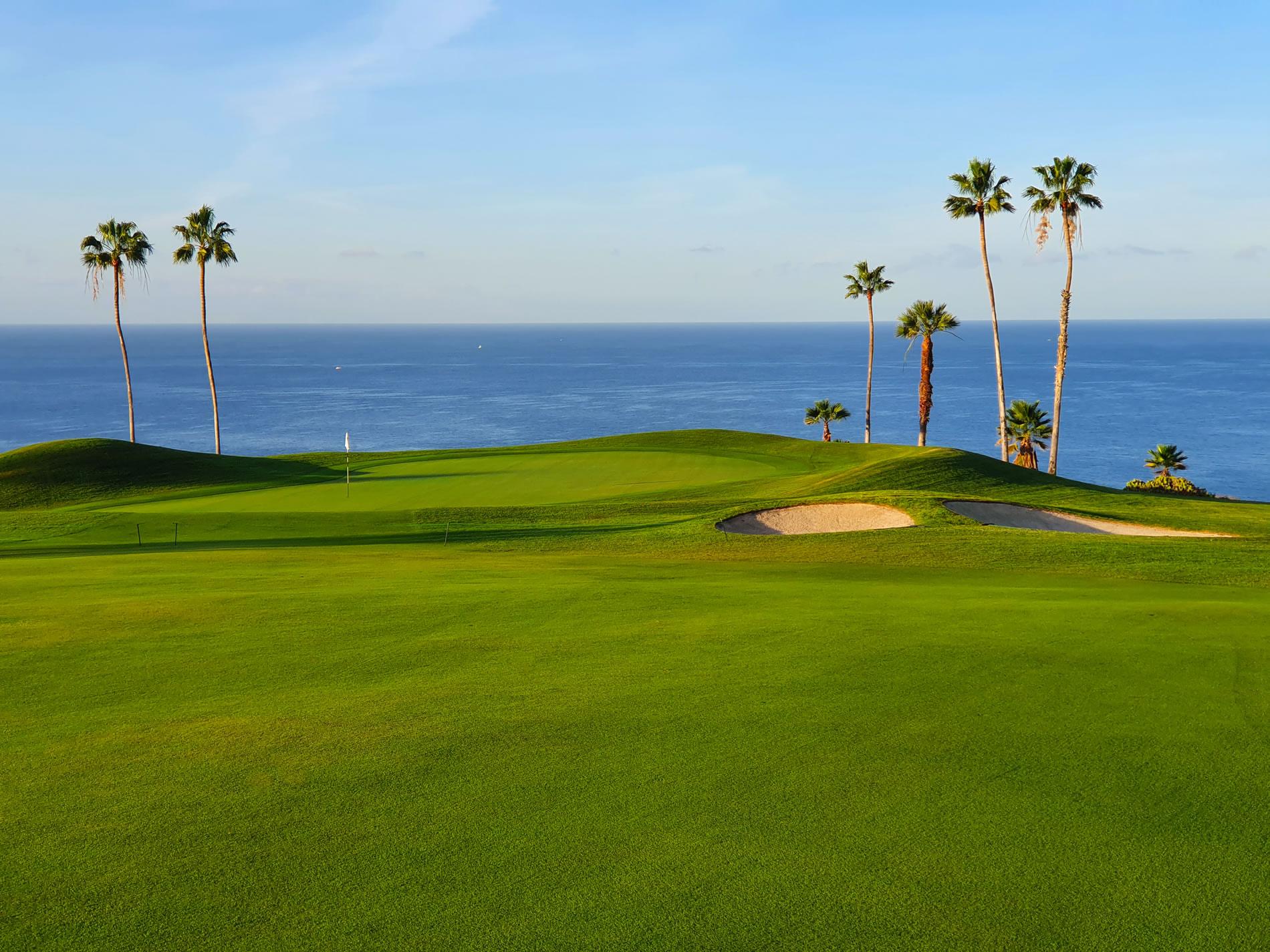 Pristine green overlooking the ocean