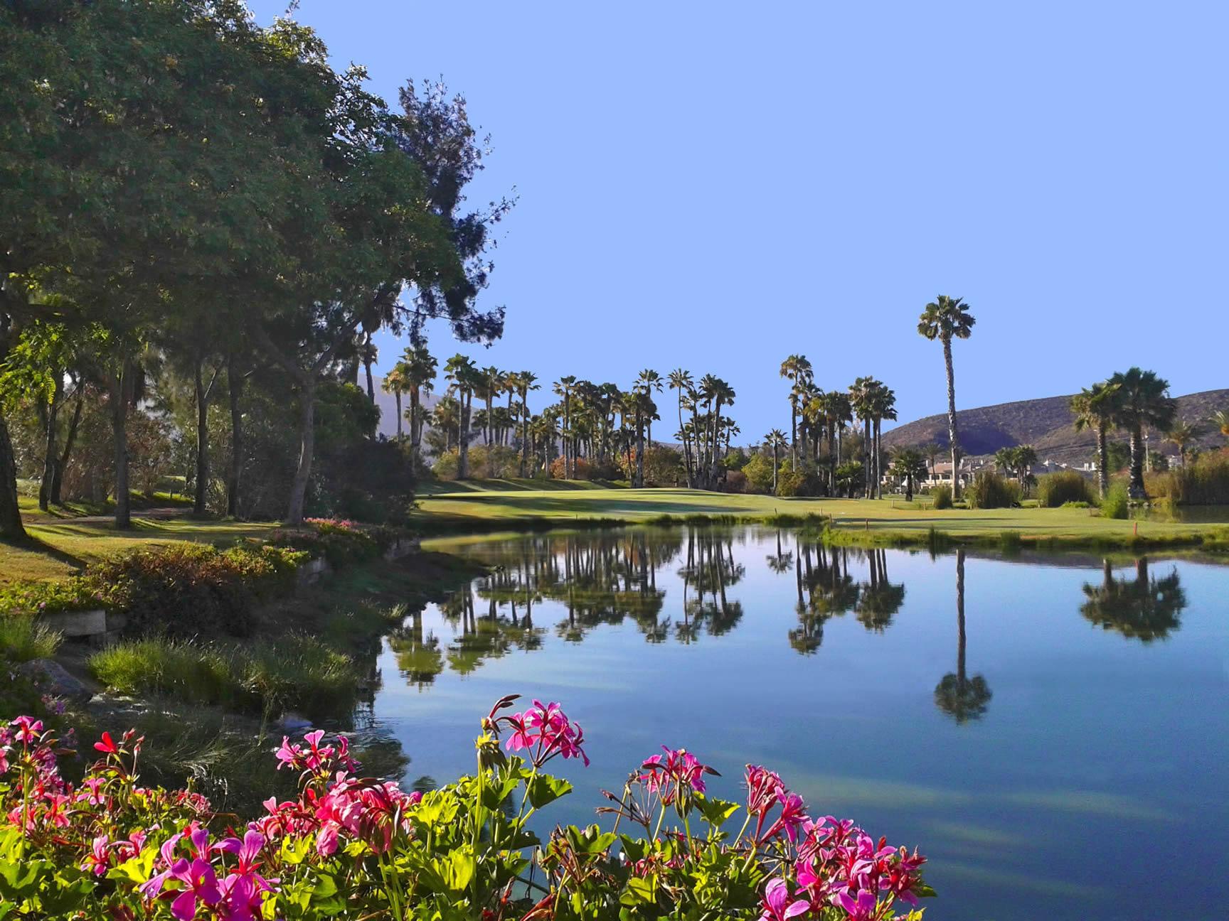 Water hazard before a palm tree lined fairway