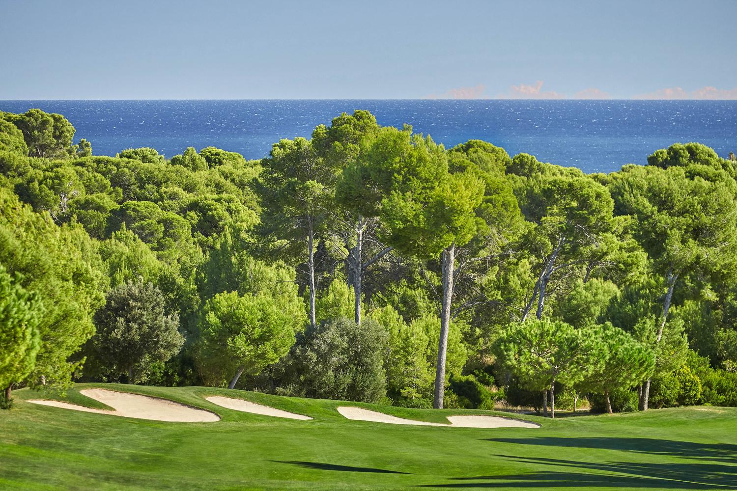 Well manicured tree-lined fairways