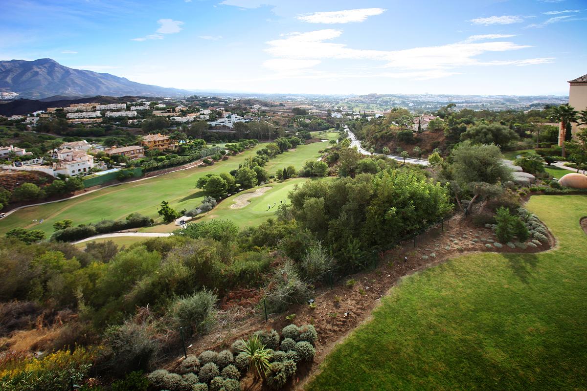 Aerial view of the course with mountain in the left background