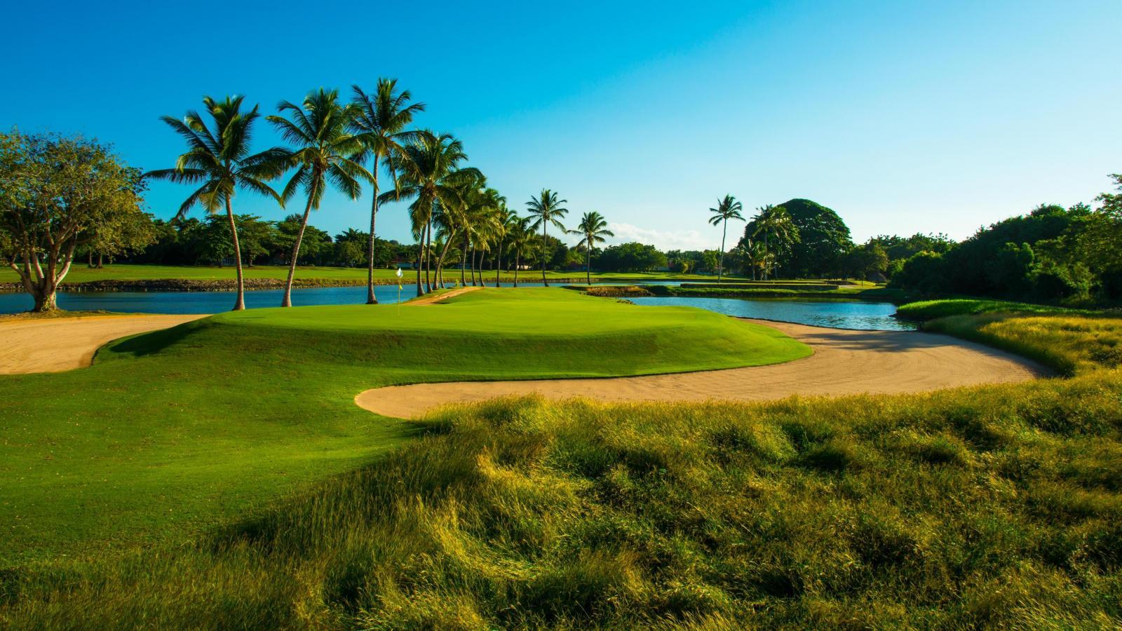 An elevated green with surrounding sand bunkers nestled with palm trees