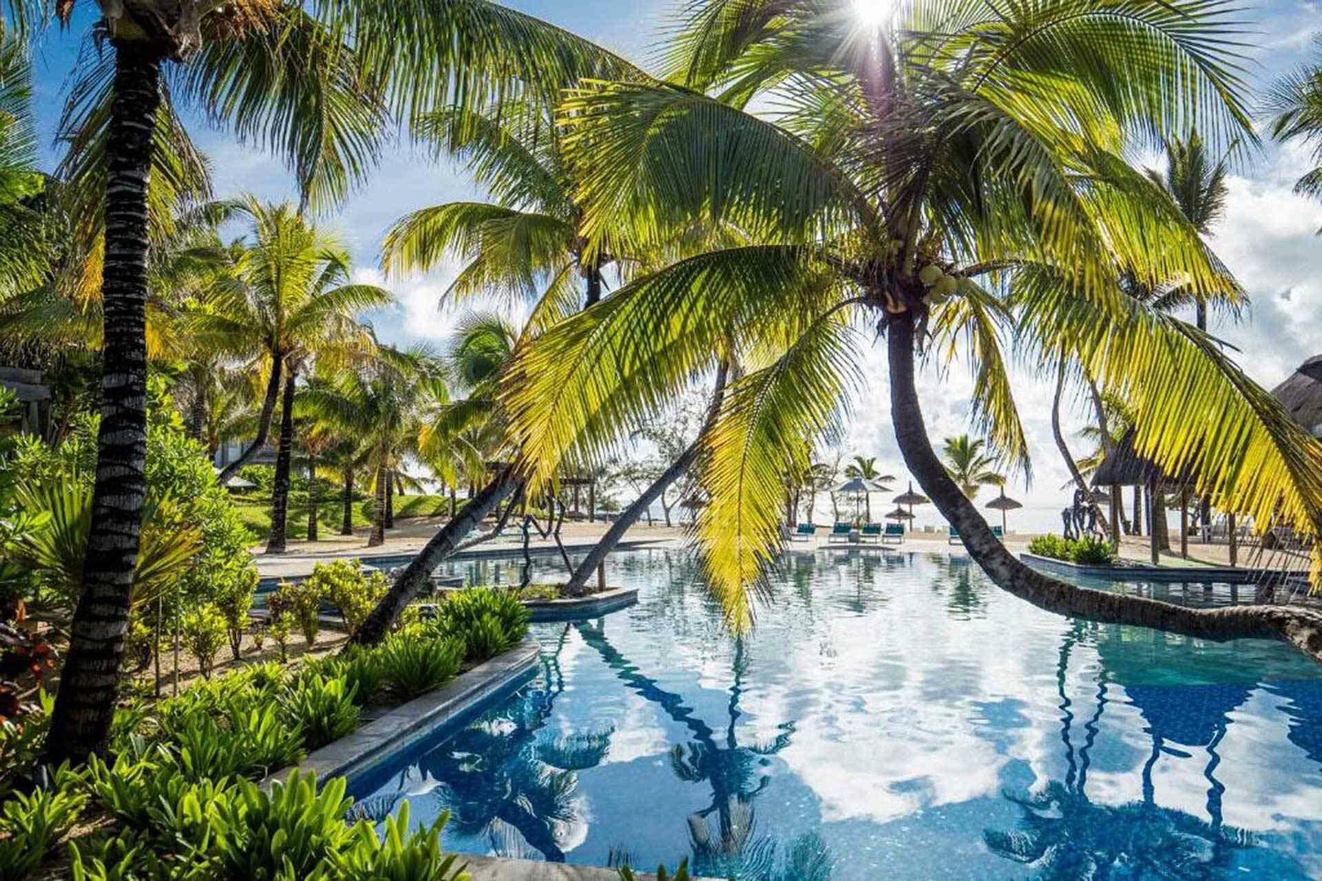 Sun shining down on the outdoor swimming pool framed by sunbeds and palm trees