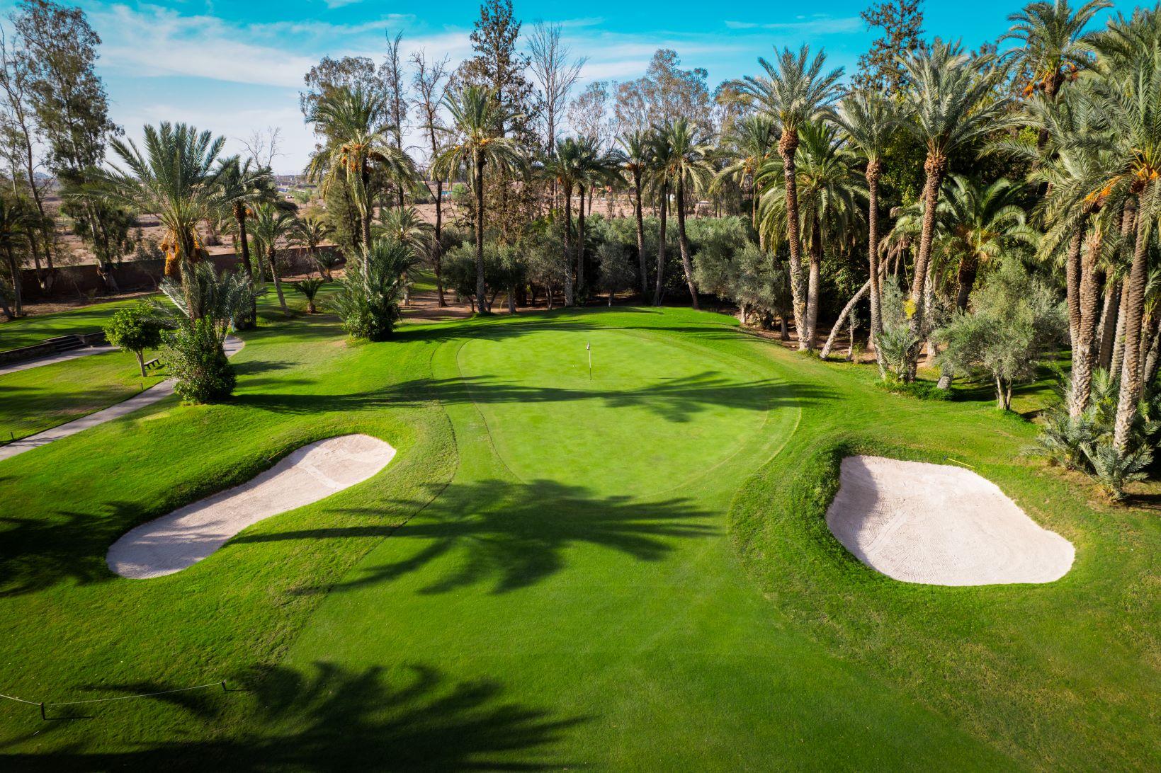 Palm tree-lined green with two sand bunkers on either side.