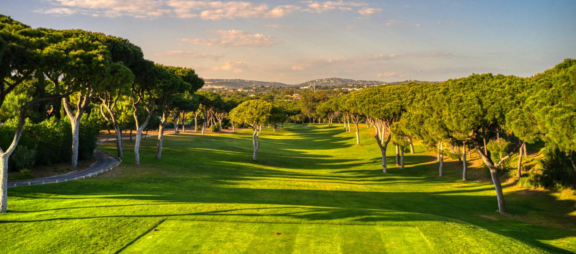View from the tee box leading to an undulating, tree-lined fairway