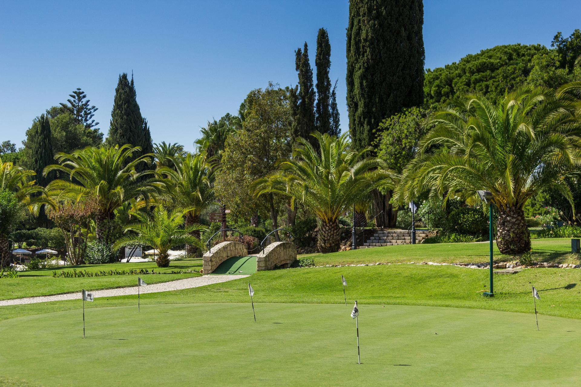Putting green with greenery around