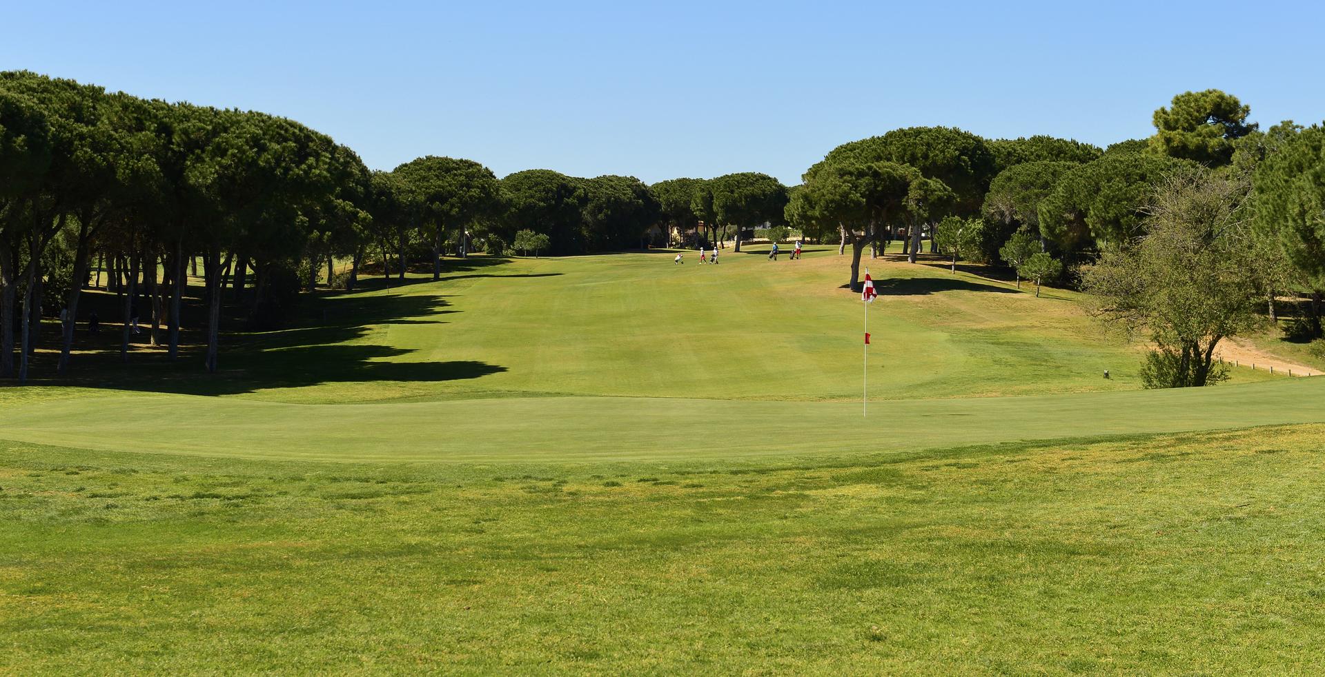 Tree-lined fairway leading up to the green