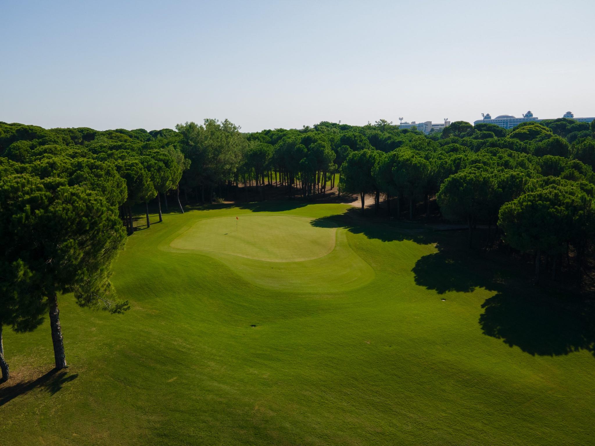 Green surrounded by trees
