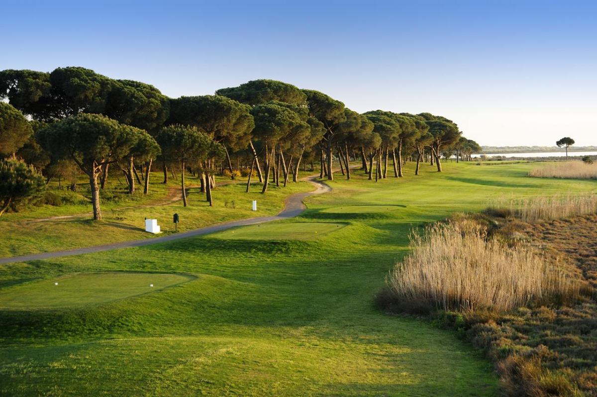 Undulating fairway with trees along one side