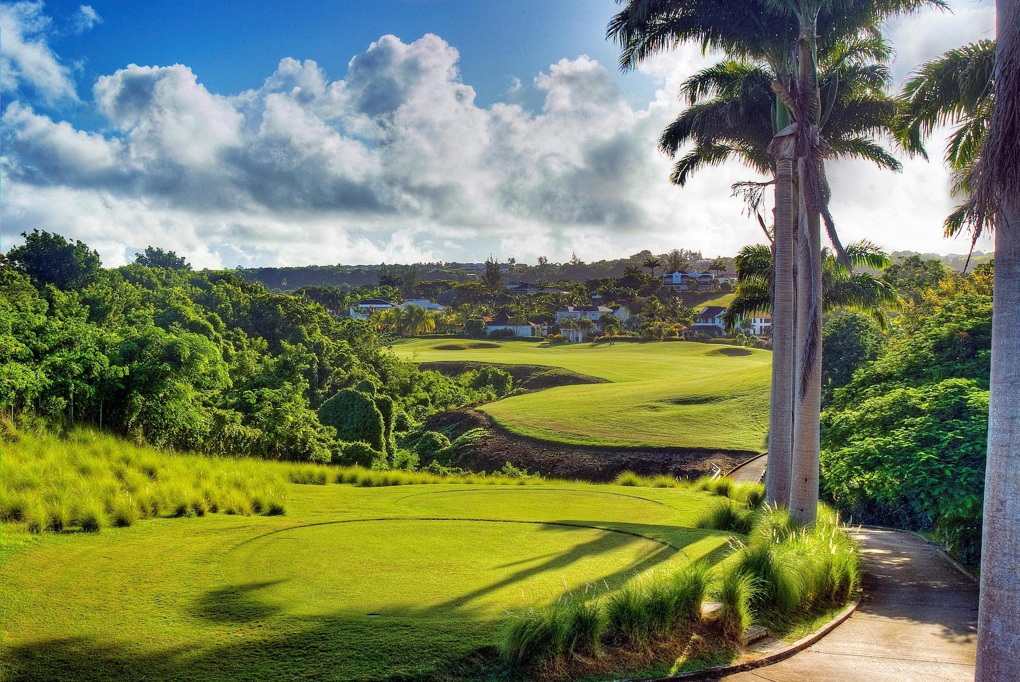 A scenic golf hole surrounded by lush greenery and tall tropical palms.