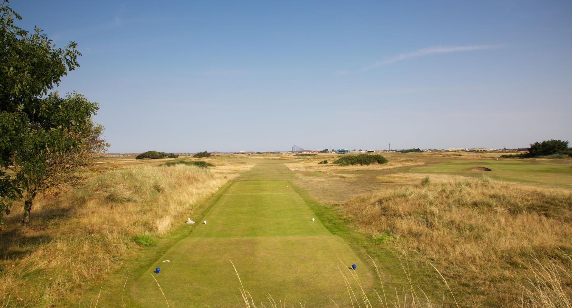 A long, straight fairway stretching into the distance, lined with dry grass and a single tree on the left.