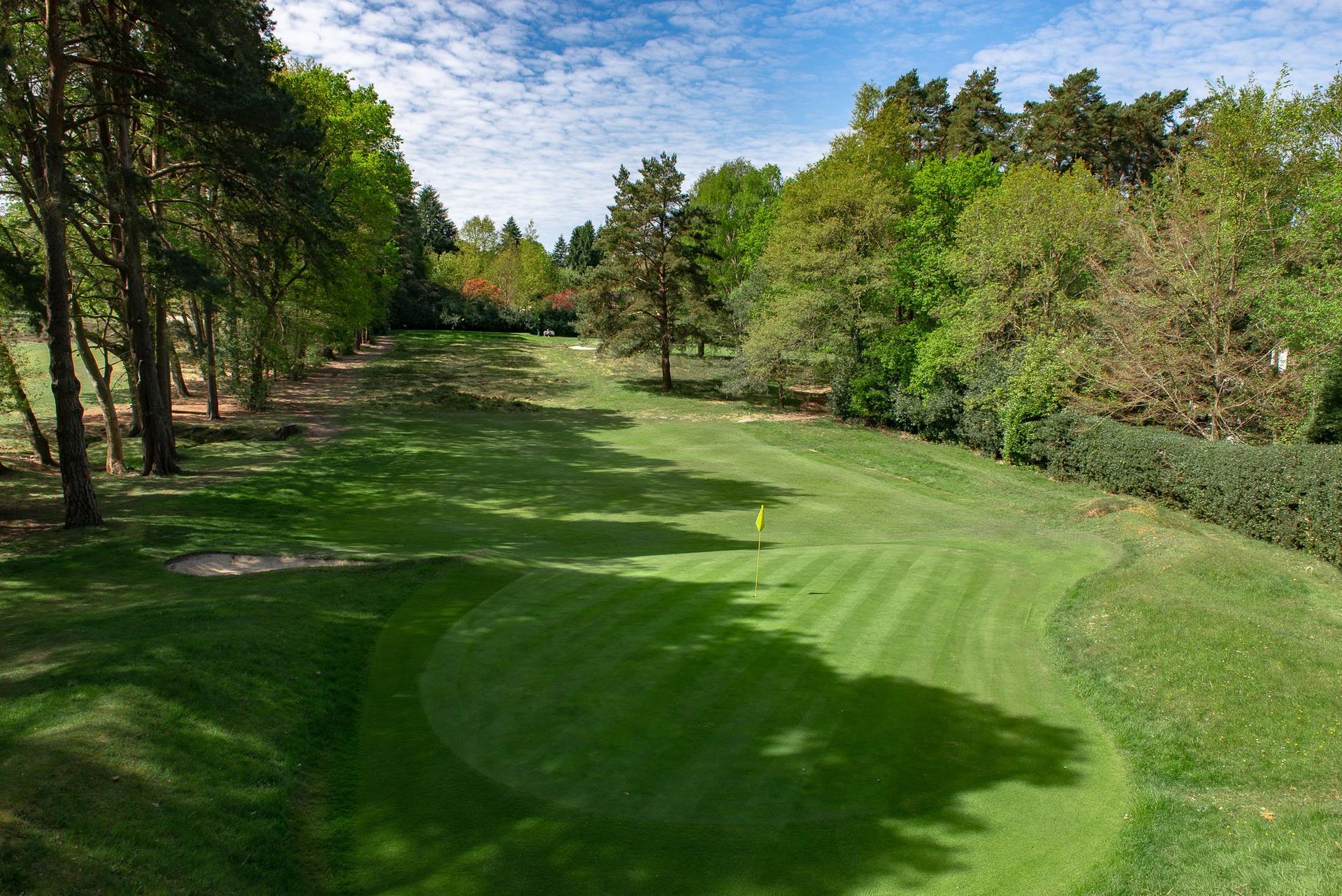 A narrow green with a yellow flag in the center, surrounded by dense woodland.