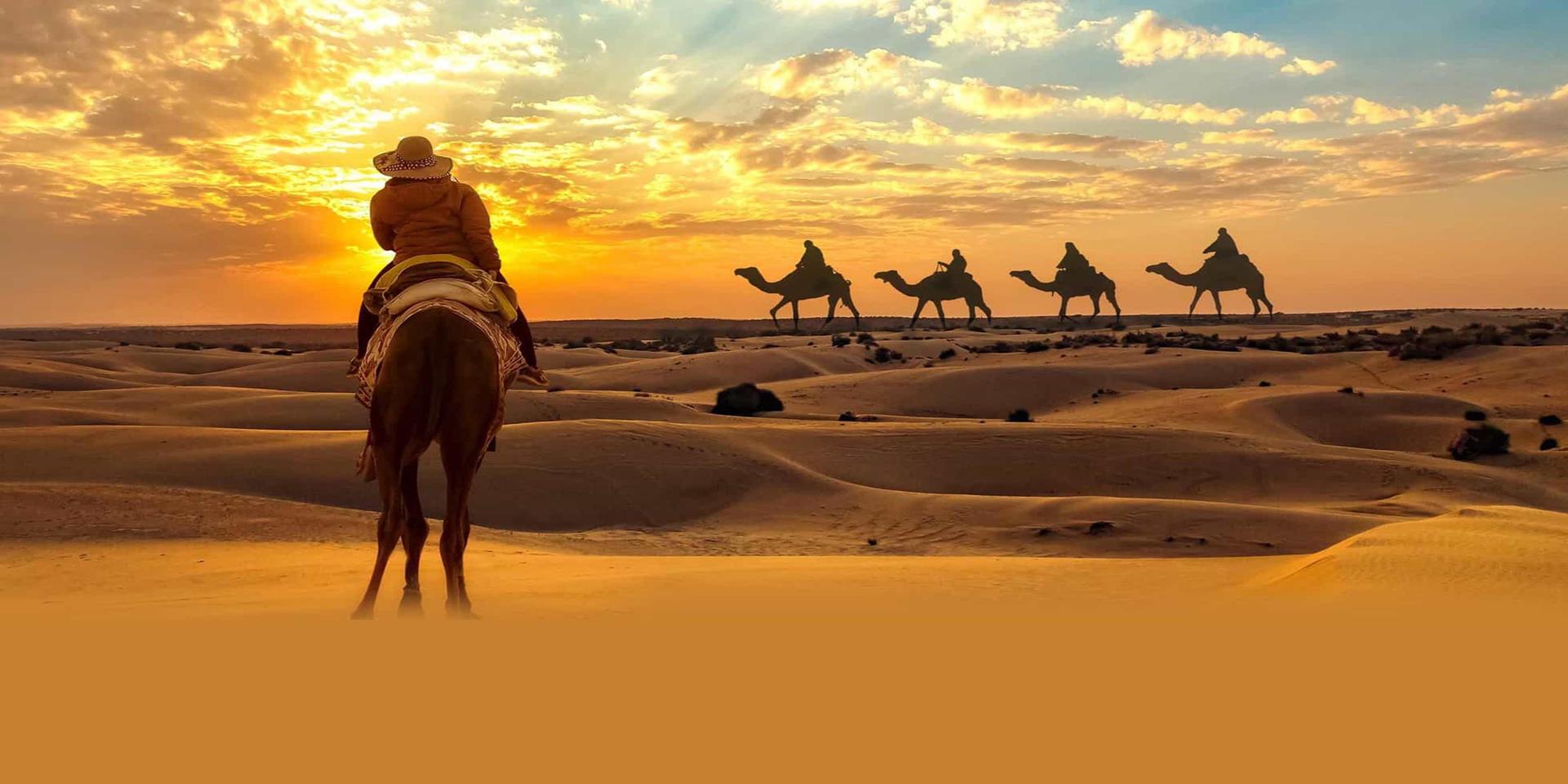 Camel walking through desert near Dubai skyline