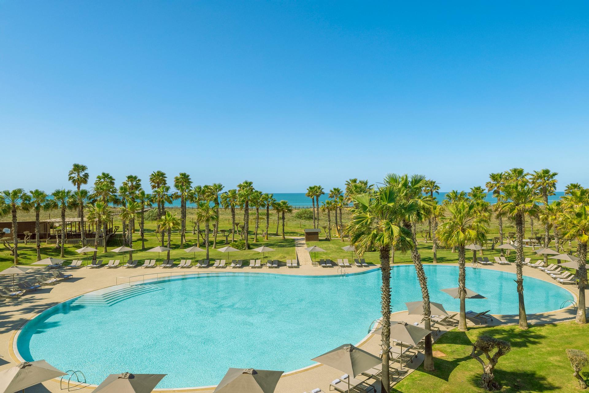 Outdoor swimming pool area with palm trees around it
