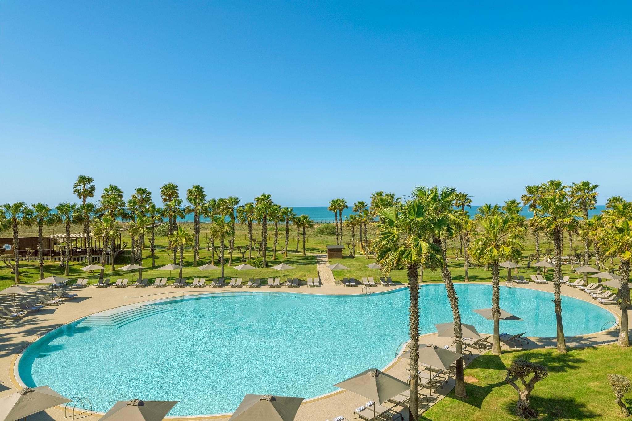 Outdoor swimming pool area with palm trees around it