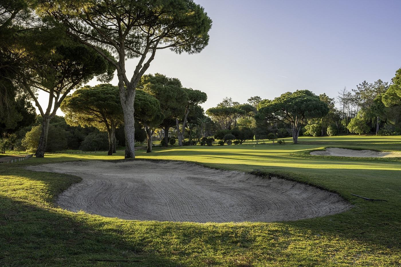 Green with trees and bunkers surrounding it
