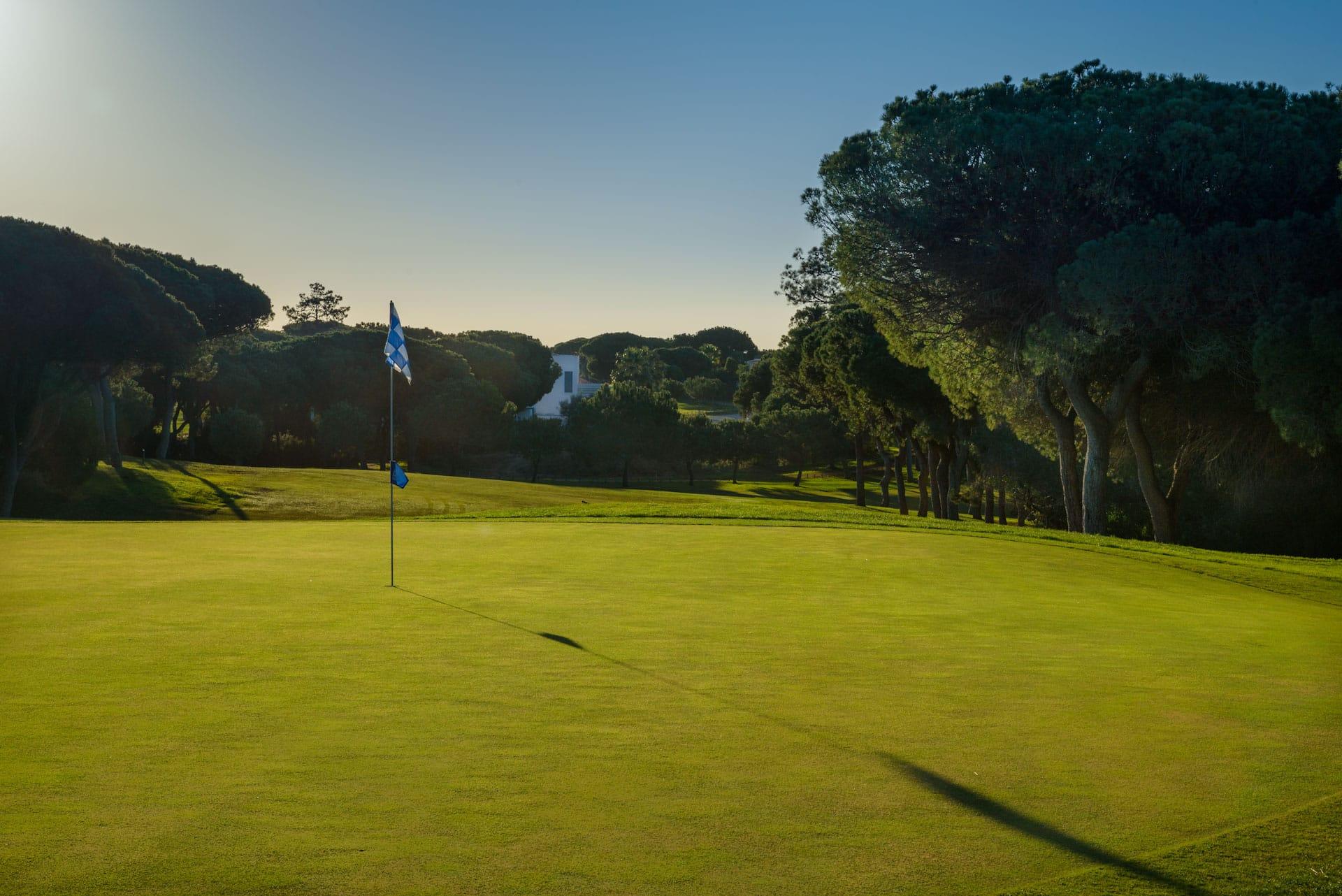 Green in pristine condition