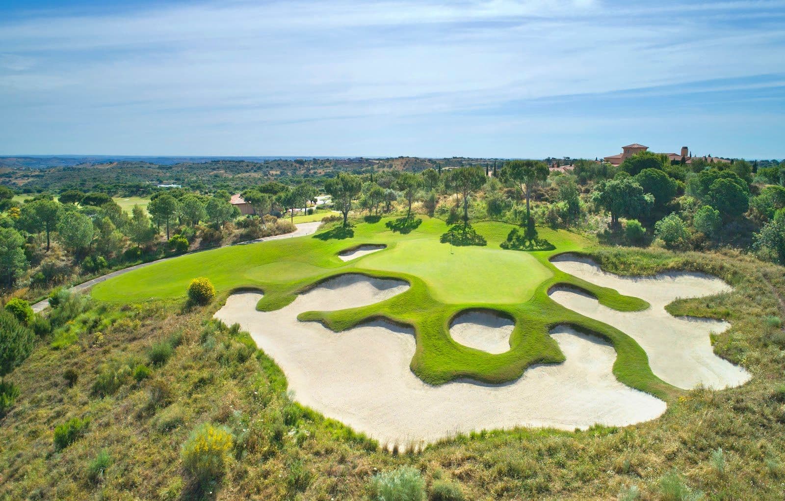 A smooth green surrounded by uniquely shaped bunkers