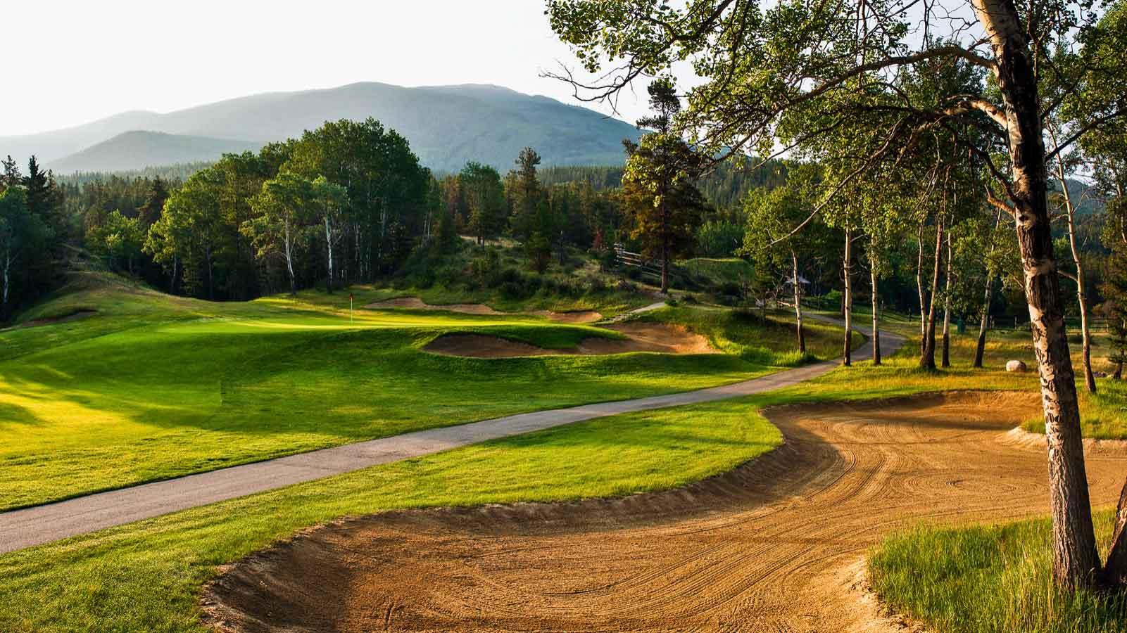 A smooth green surrounded by uniquely shaped sand bunkers