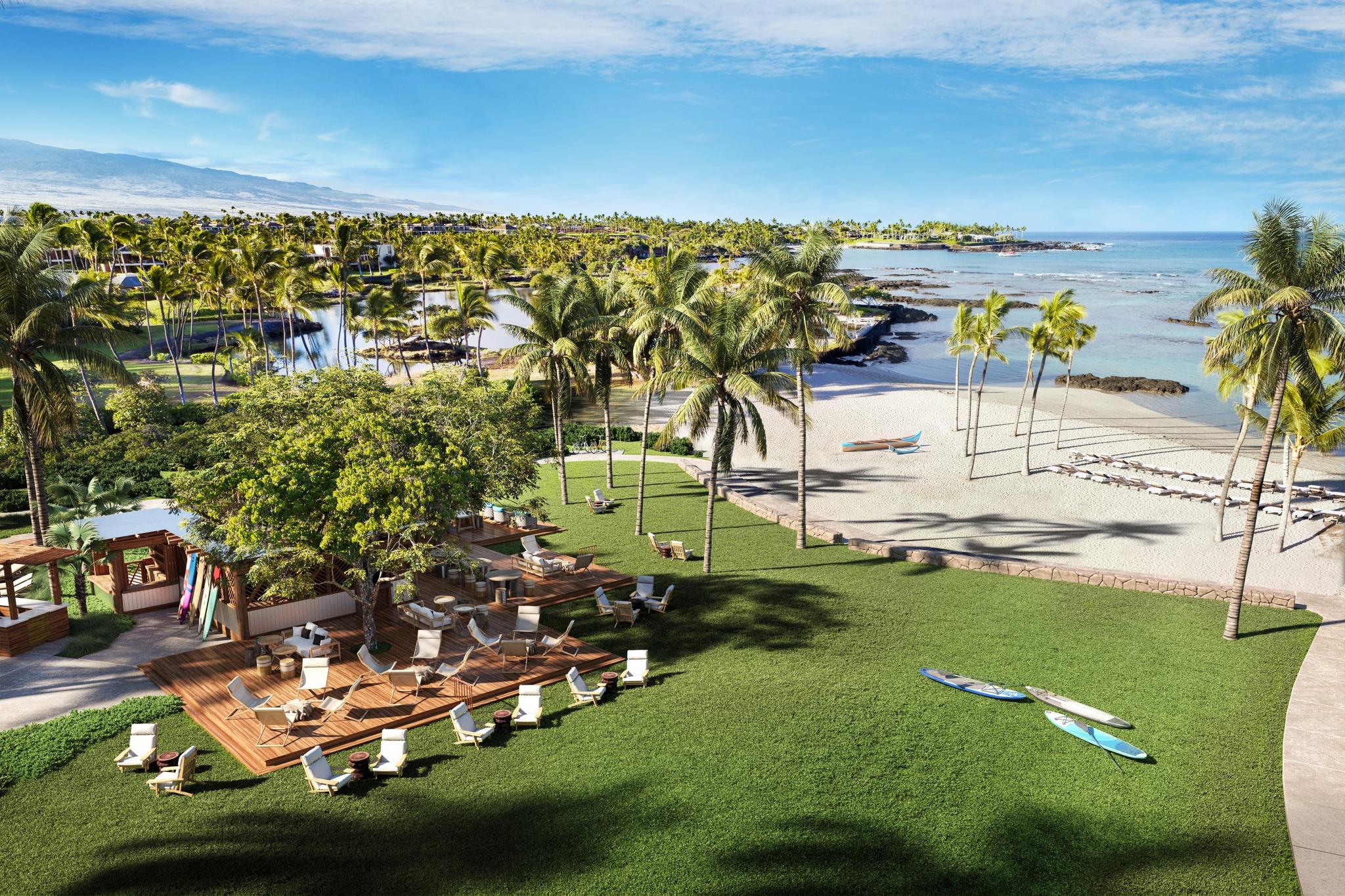 Aerial view of the beach with palm trees