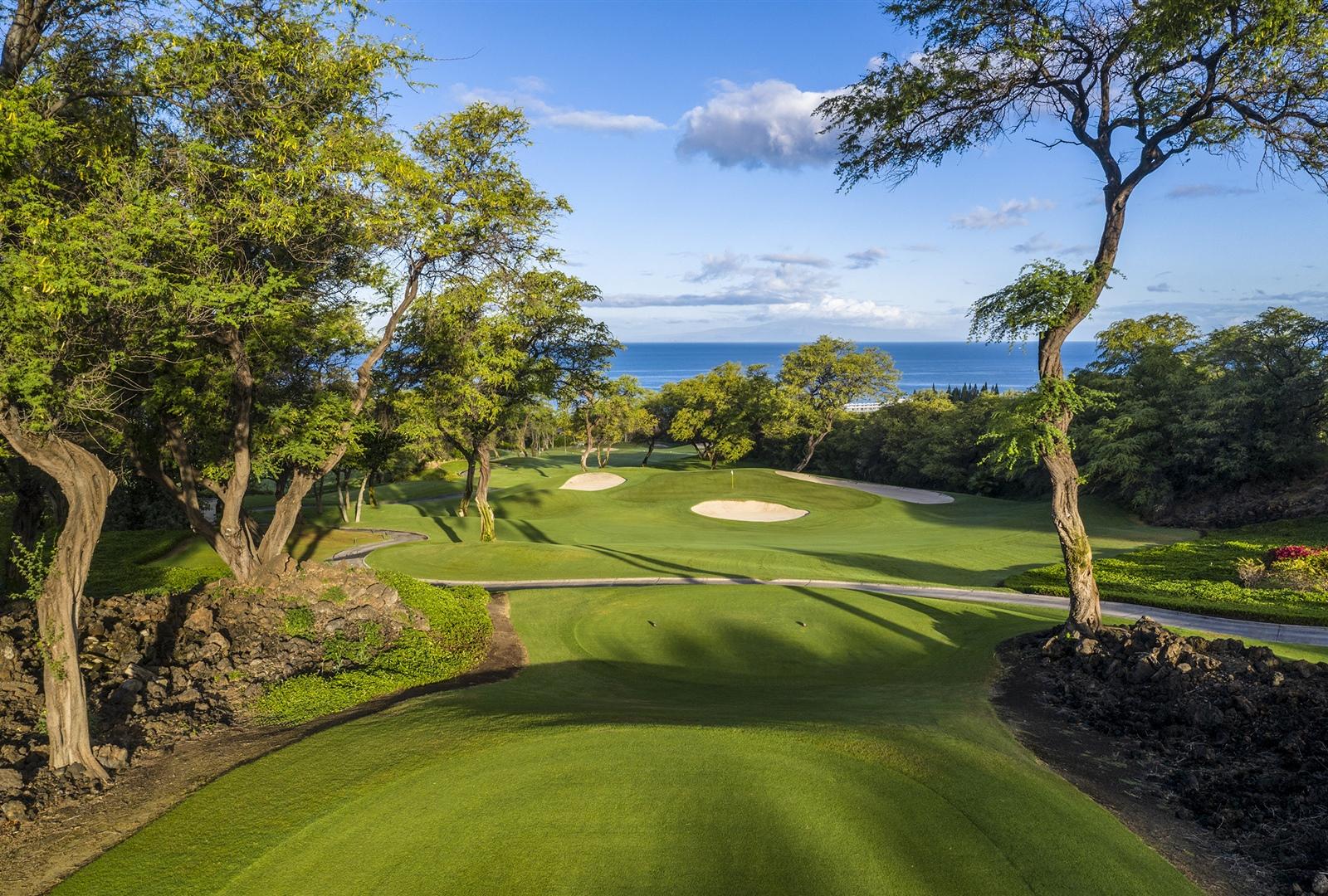 Downhill tee shot to a Par 3 green