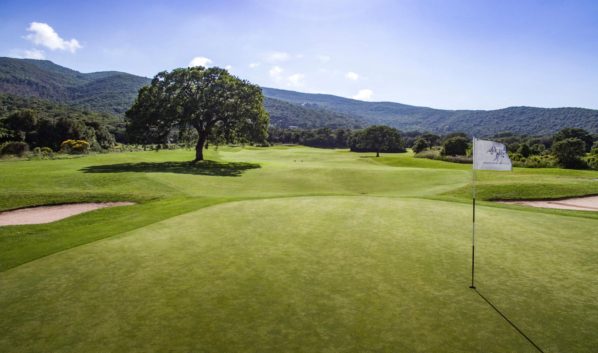 Smooth green