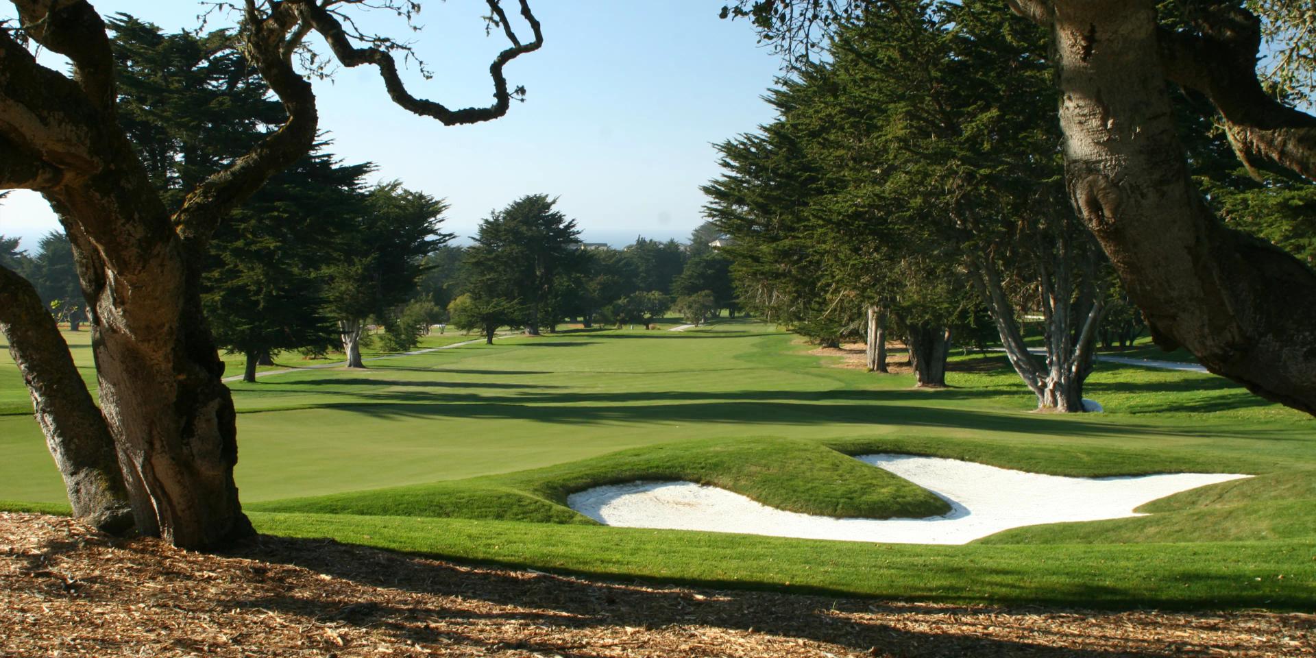 View of a wide fairway taken from between the trees on the rough