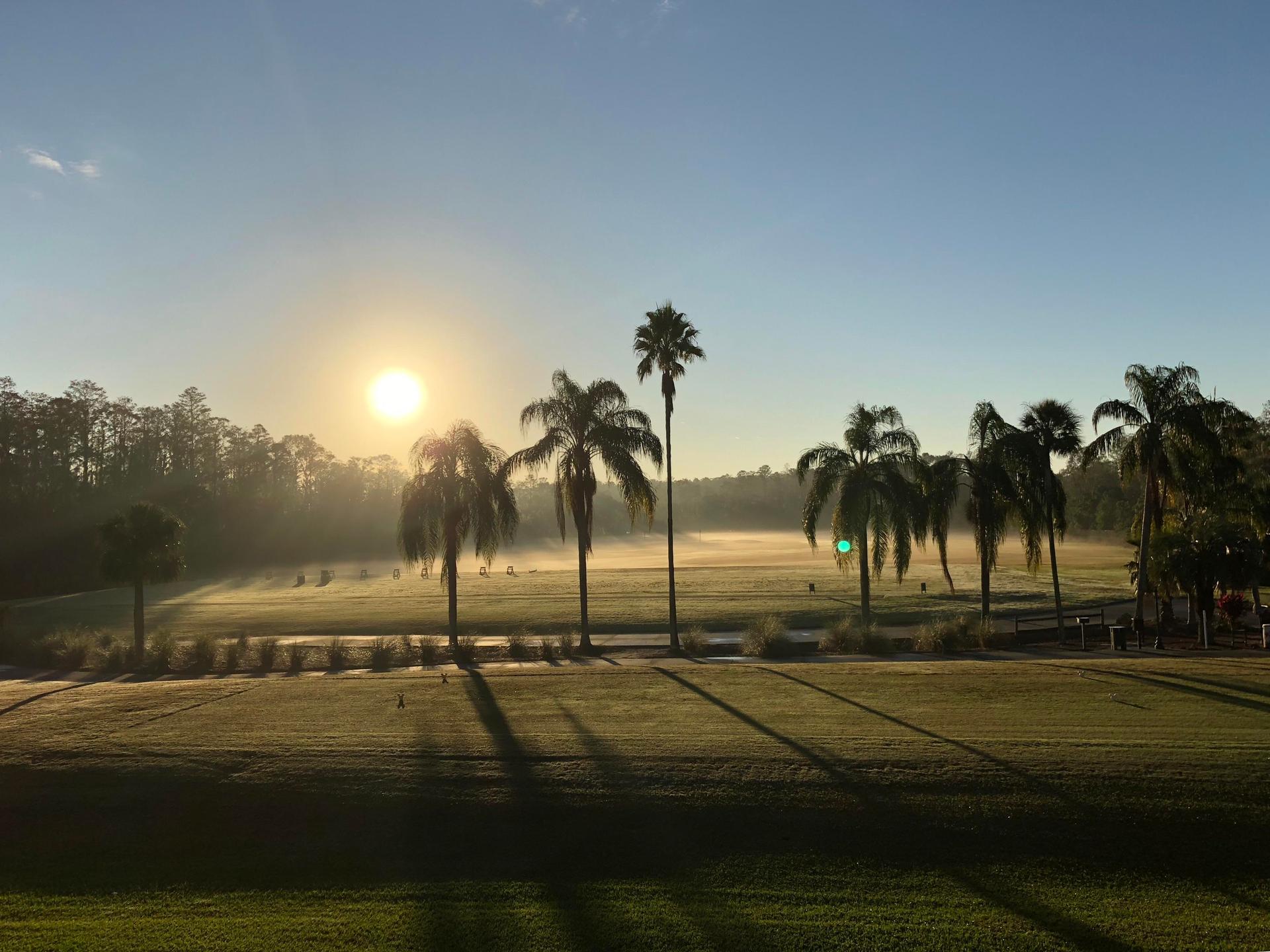 Panoramic view of the sun shining onto the course with palm trees