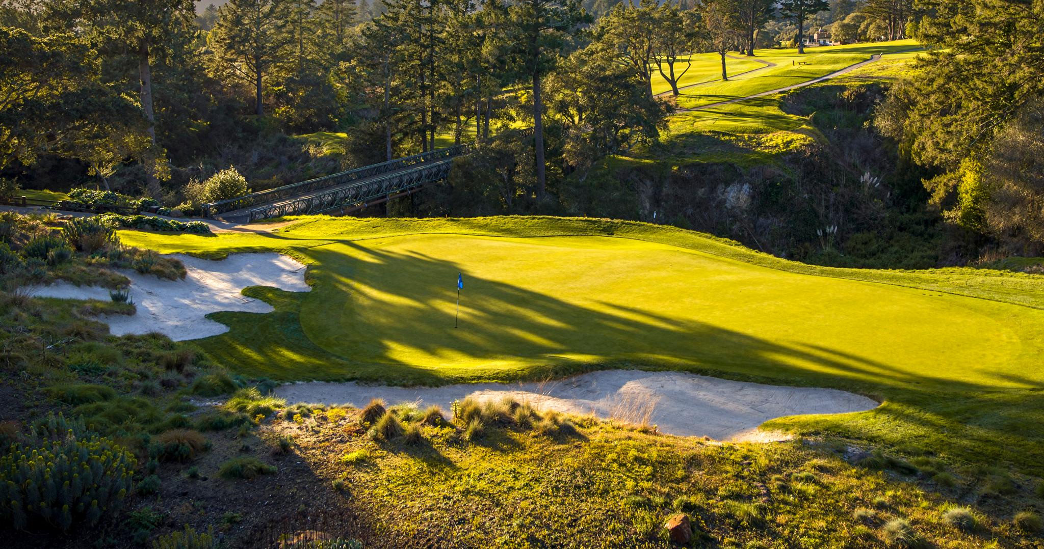 A smooth green surrounded by sand bunkers