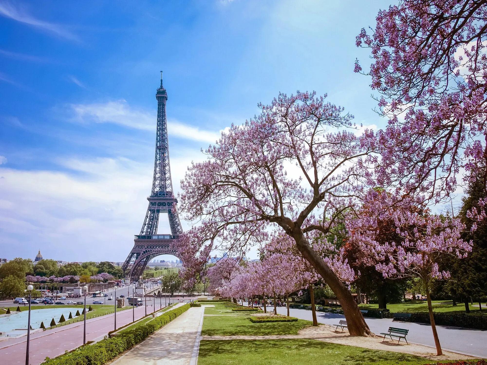 Seine & Paris Luxury Golf Cruise