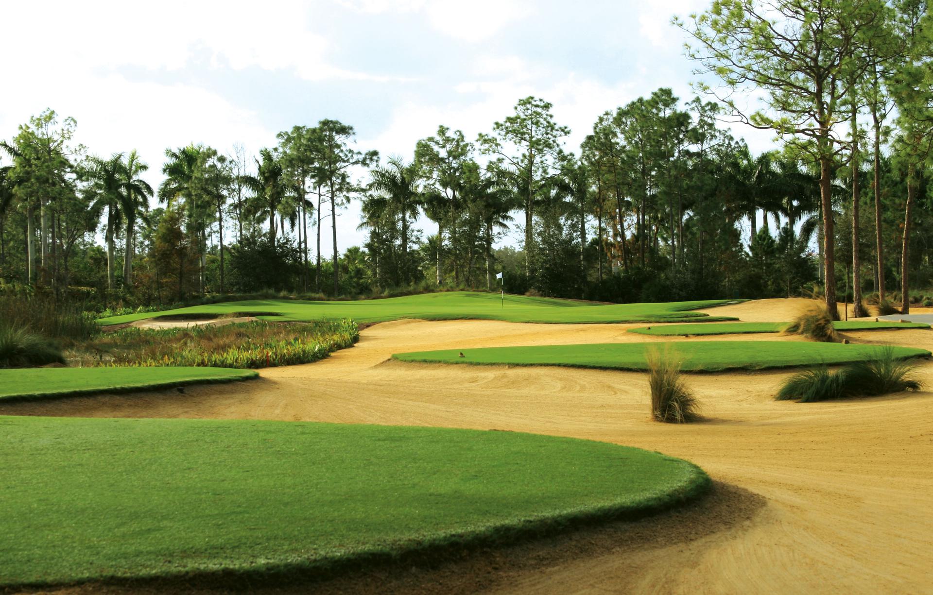 A challenging green surrounded by rugged sandy areas and natural vegetation.