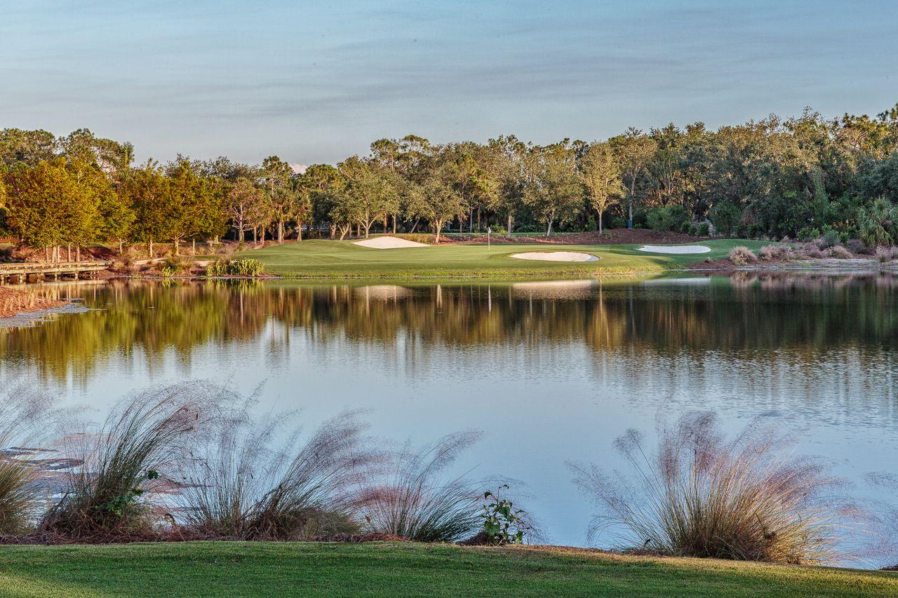 A peaceful lakeside green framed by trees and white sand bunkers.