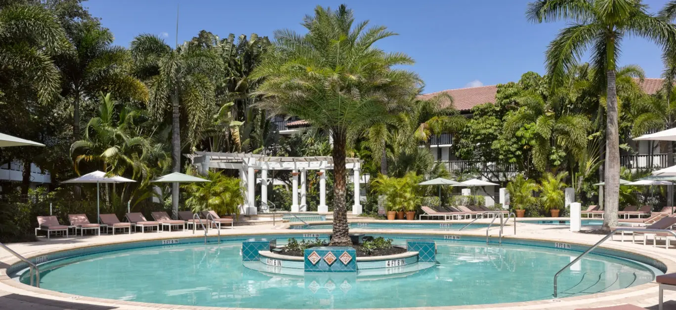 Swimming pool at the resort with a palm tree placed in the centre of the pool