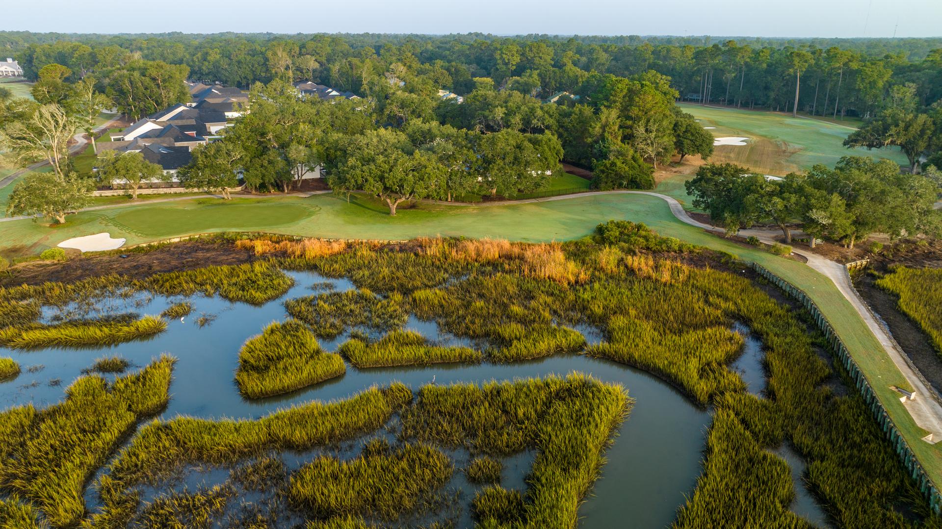 Overhead view of a outgrown water hazard