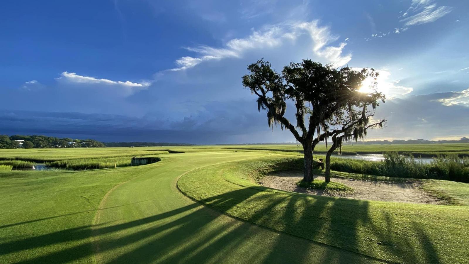 Well maintained green under blue skies with a singular tree in the centre
