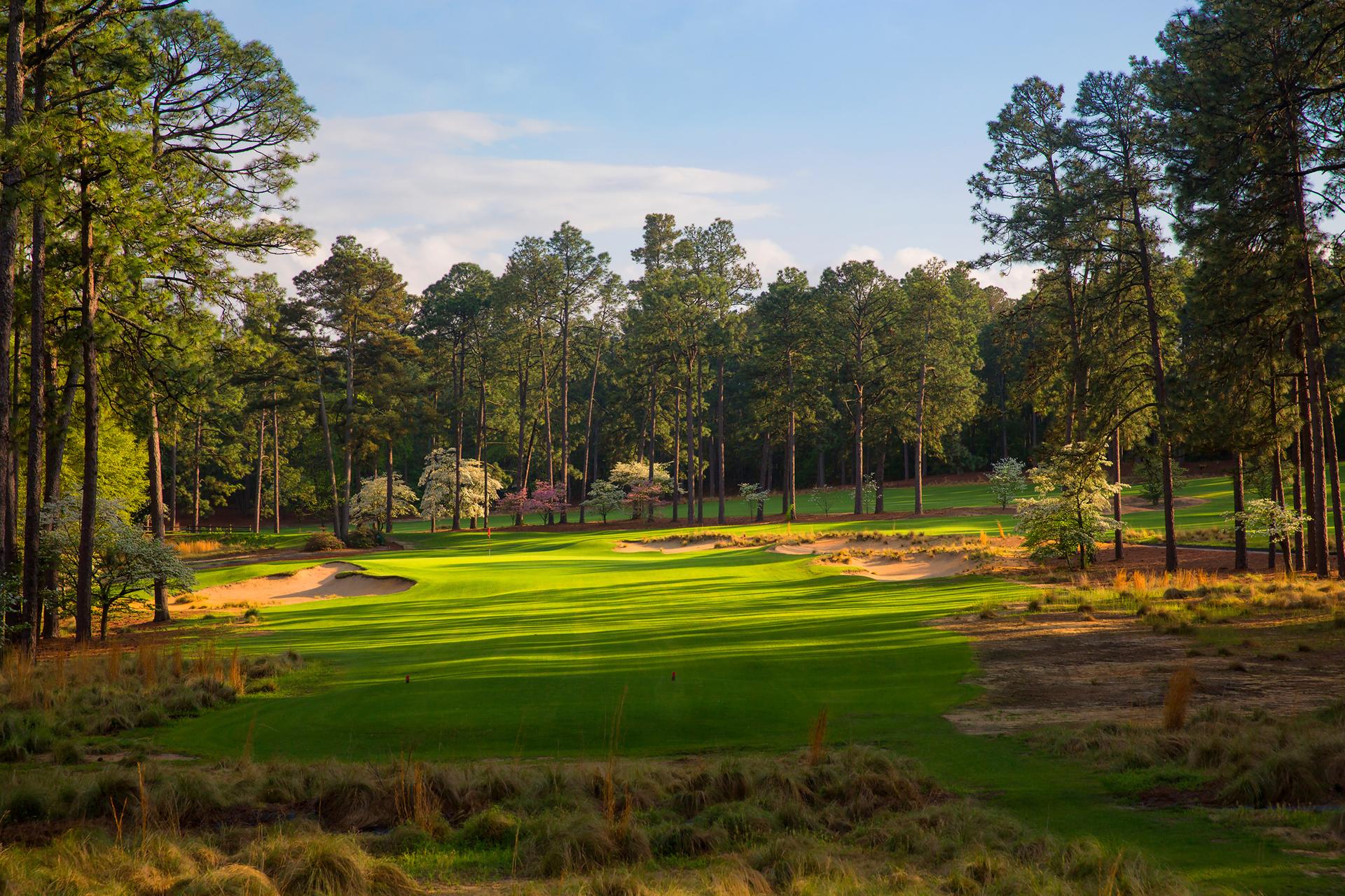 Iconic tree-lined golf hole with golden sunlight casting shadows across the fairway.