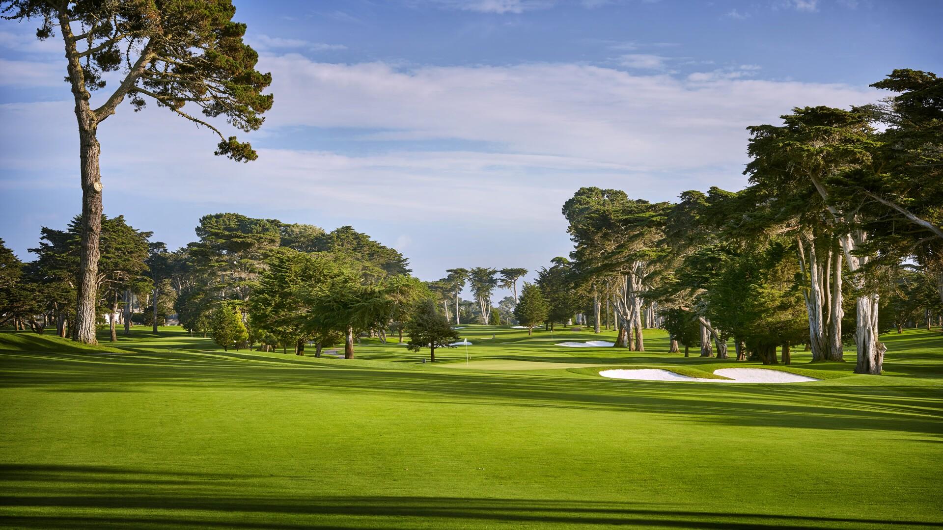 Manicured fairways at TPC Harding Park
