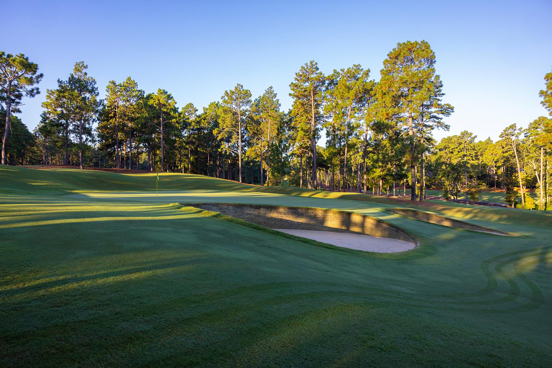 A smooth green surrounded by tree line