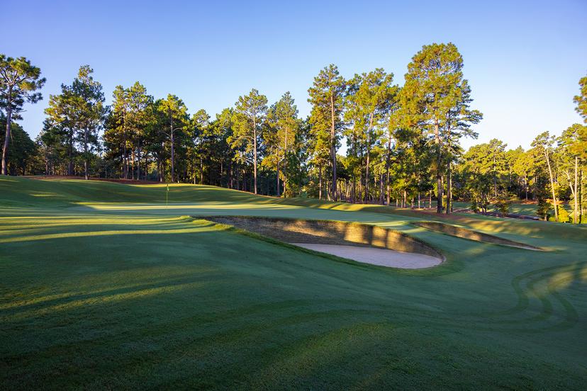 A smooth green surrounded by tree line